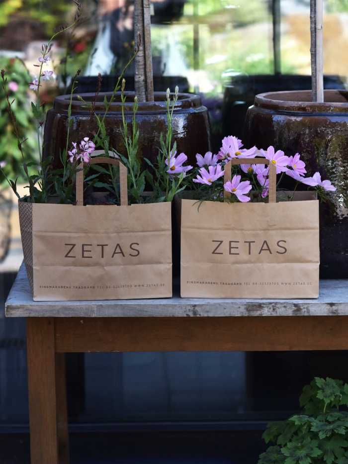 Sommer blomsterposer